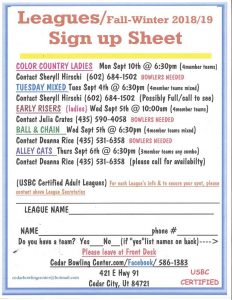 2018 2019 bowling league