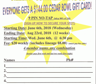 2018-summer-bowling-league